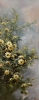 Golden Blossoms