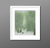 A Winter Woodland 