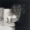 Under the Acacia Tree