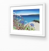Blissful Summer Beach