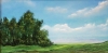 Woodland Landscape