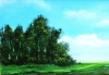 Woodland Landscape