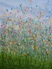 Lost In A World Of Colour