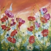 Poppies Floral Meadow Flowers 1