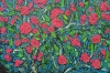 Rose Bush