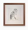Bam Owl #3 (2021)