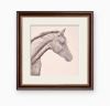 Farm Animals Series- Horse (2022)