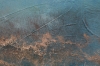 Sun Traces