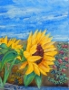 Sunflowers Still Liife