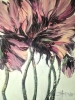 POPPIES VI
