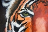 Tiger, Tiger Burning Bright