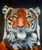 Tiger, Tiger Burning Bright