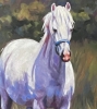 Sunny Meadow - White Pony