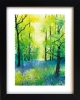 Woodland with Bluebells