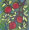 Ripening season, Pomegranats