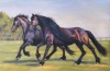 Evening Gallop