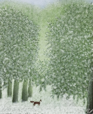 A Winter Woodland 