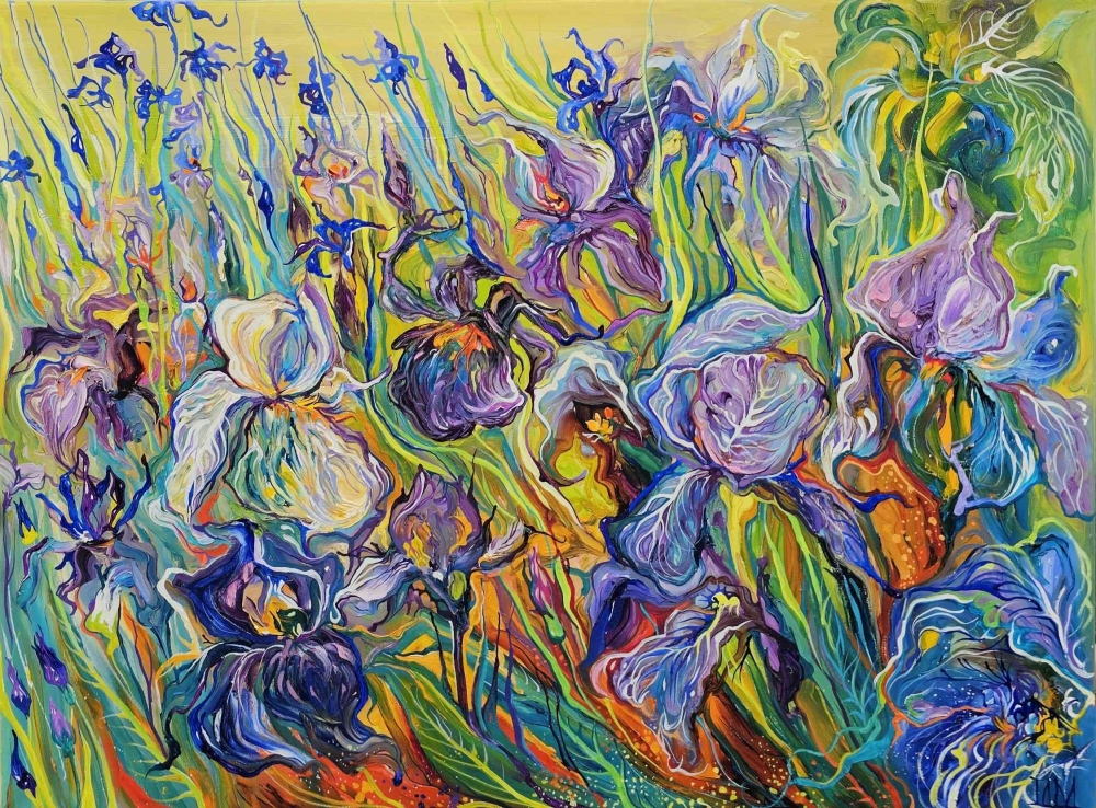 Iris Blossoms