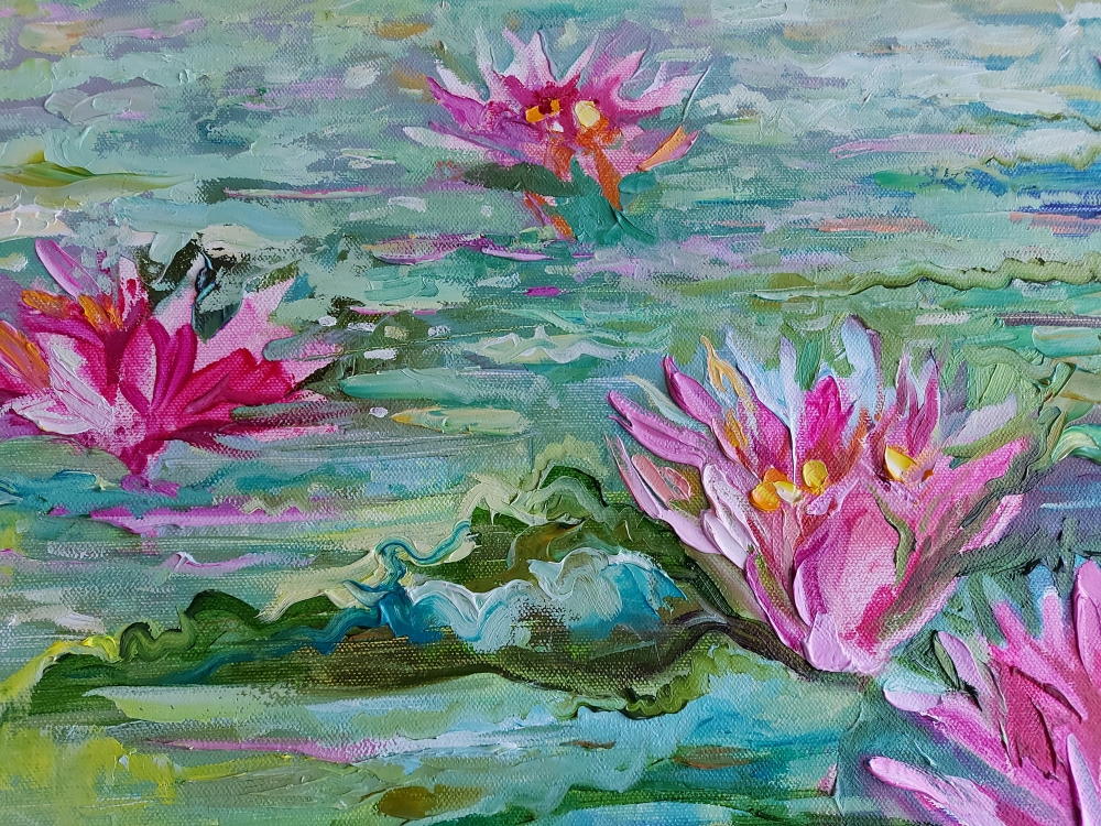 Pink Water lily 