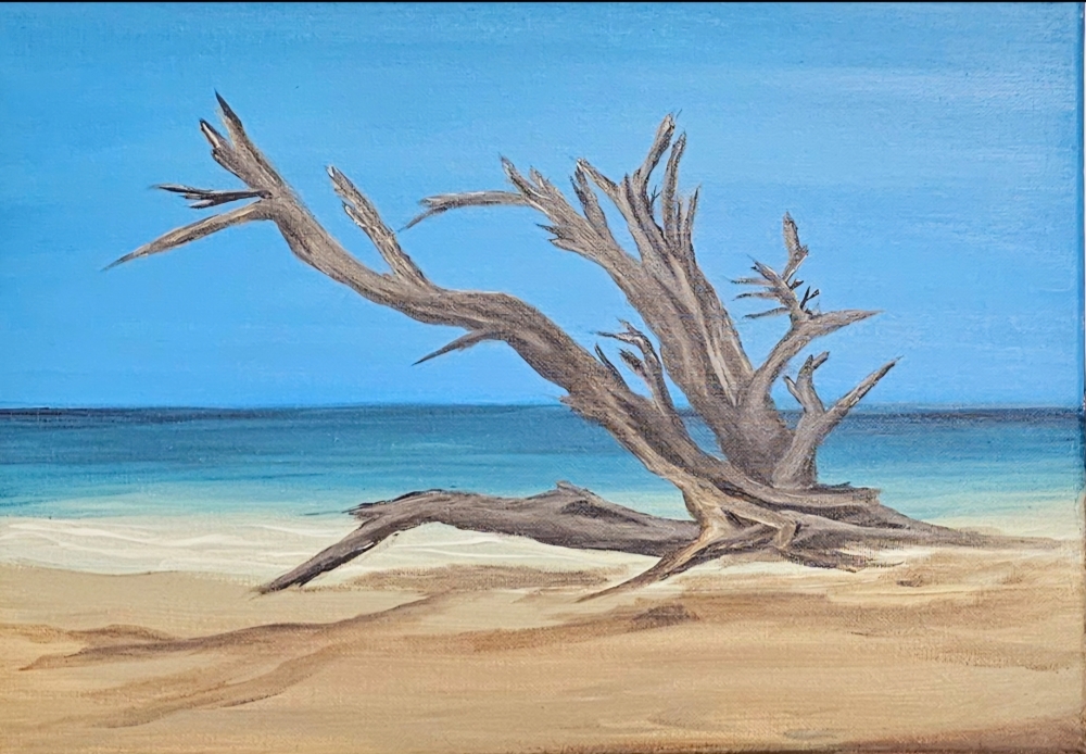 DRIFTWOOD BAY 