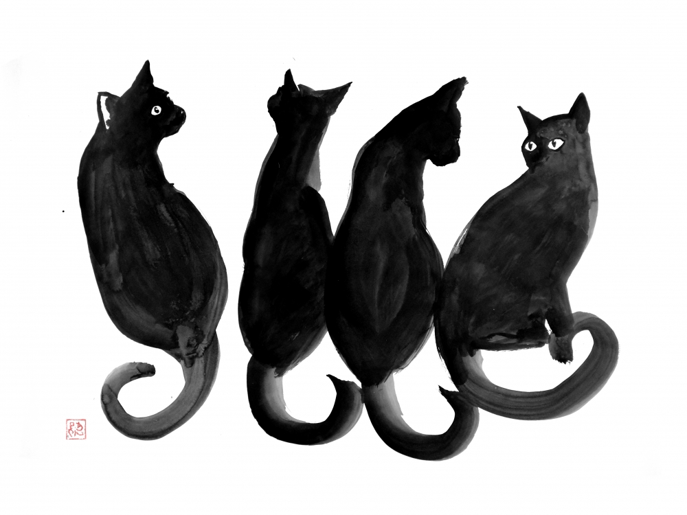 4 black cats