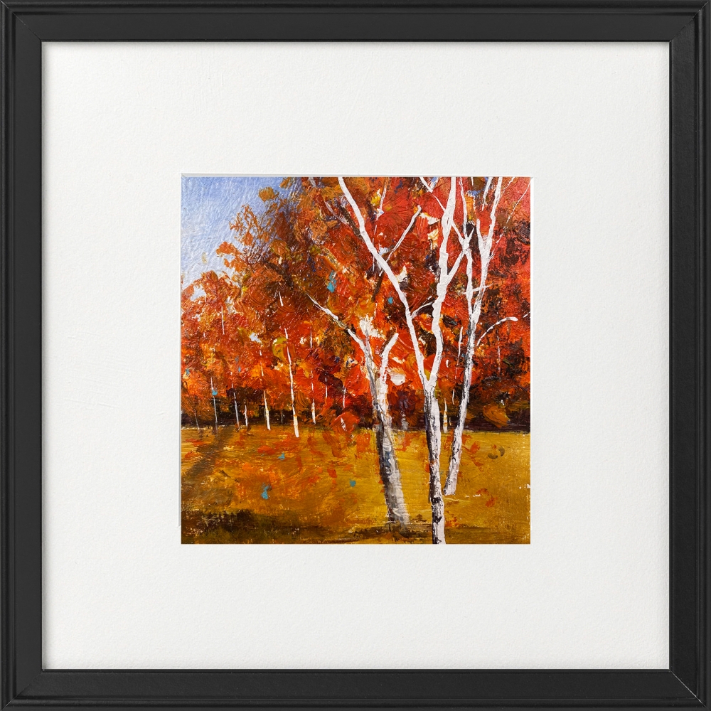 Autumn Silver Birch Trees Landscape framed