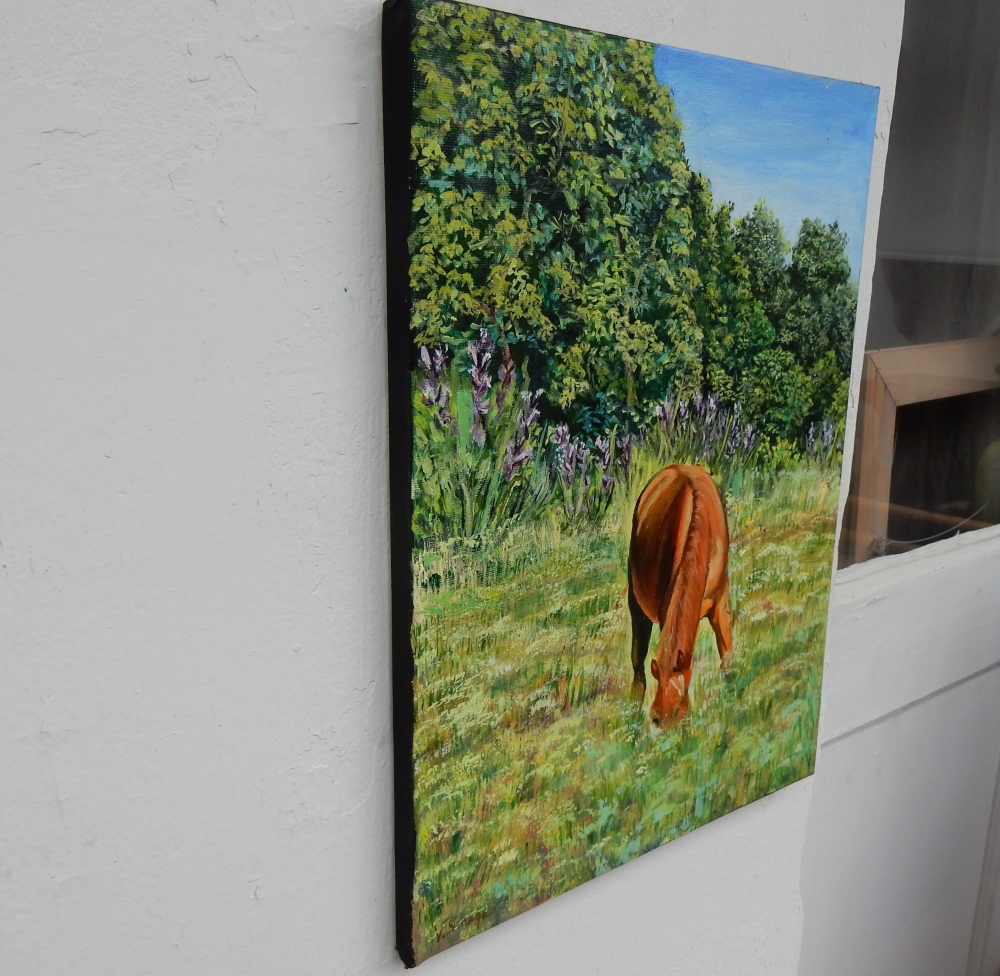 Landscape. Horse in the field.