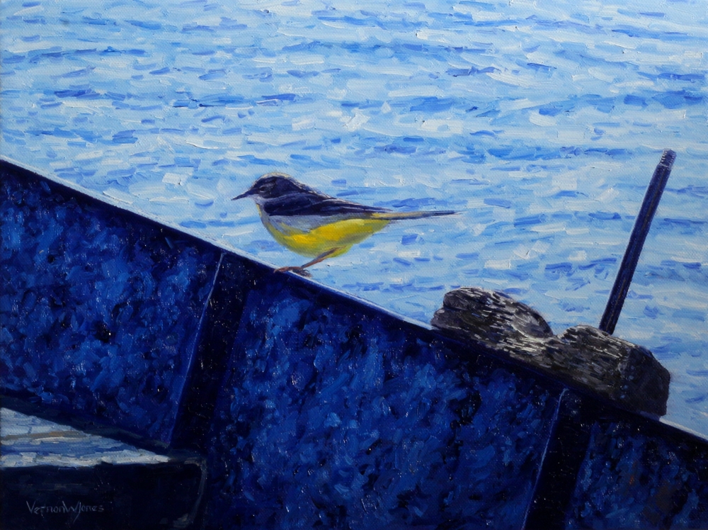 \"Grey Wagtail, Ohrid\"