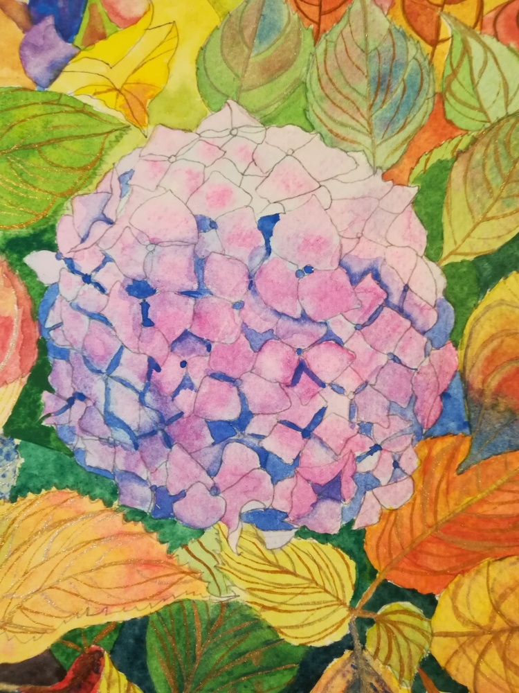 Autumnal hydrangeas watercolour 