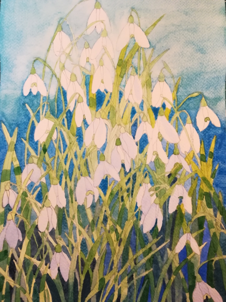 Snowdrops in watercolour 