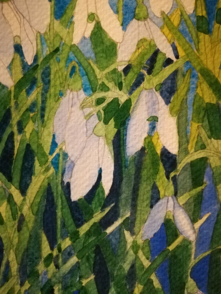 Snowdrops in watercolour 