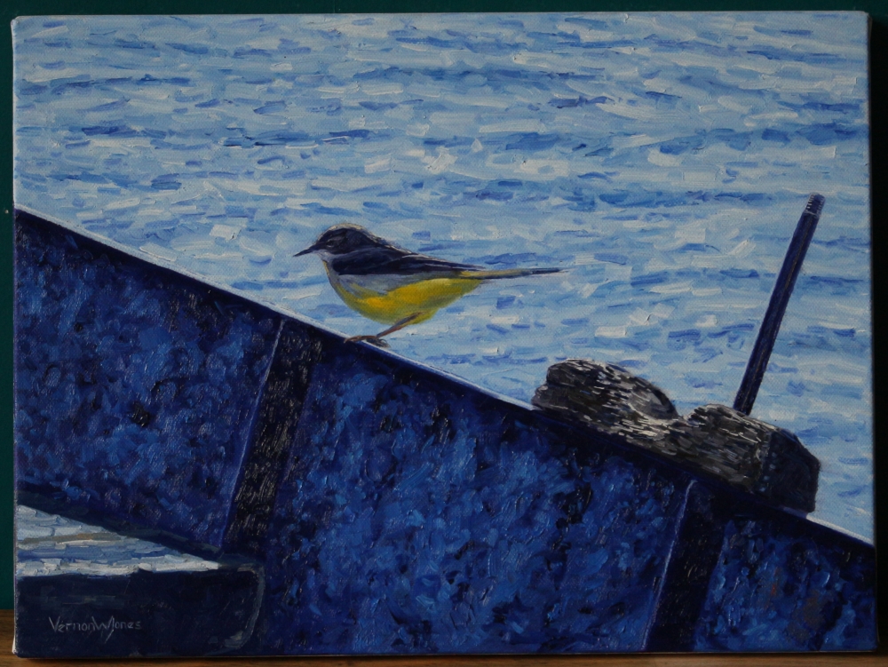 \"Grey Wagtail, Ohrid\"