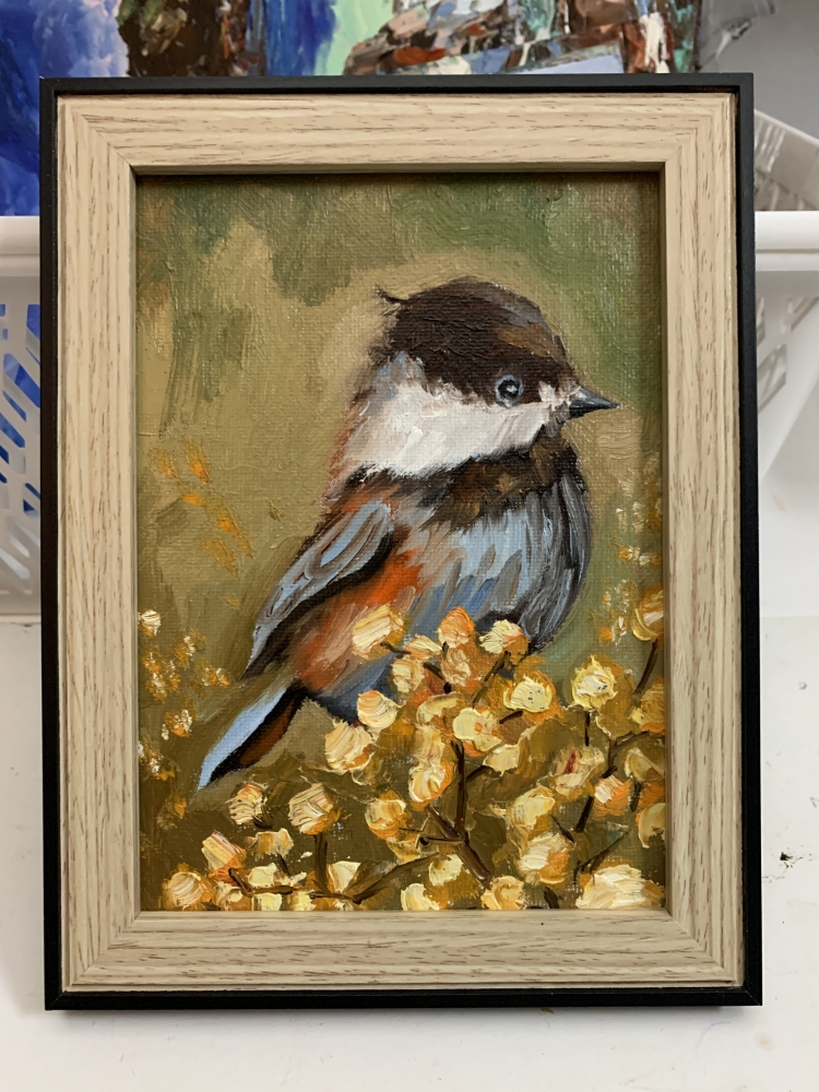 SPRING CHICKADEE bird. 