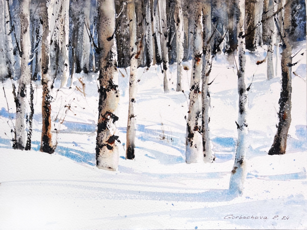 Winter Birch Grove #2