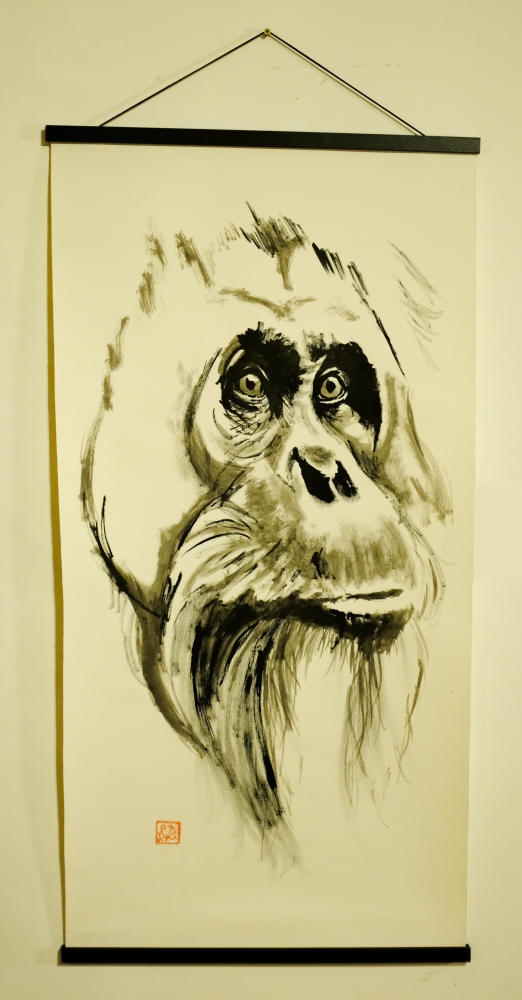 orangutan