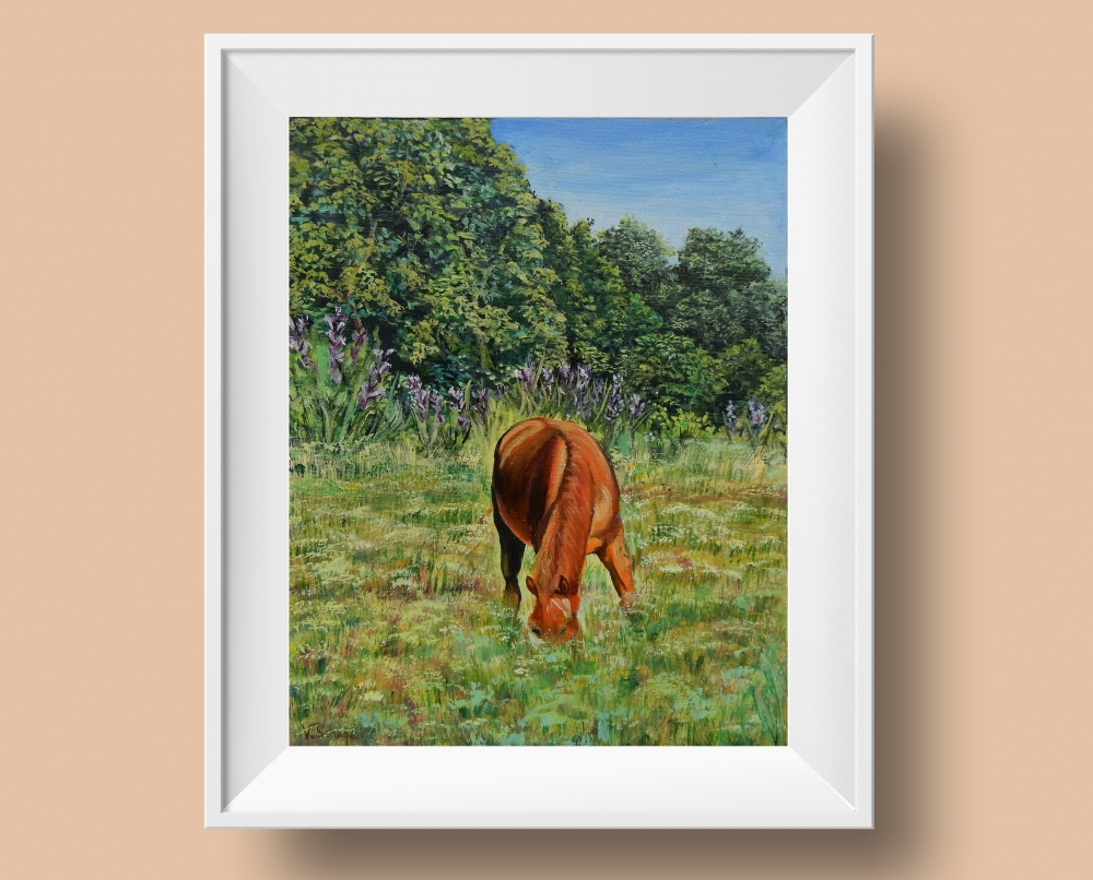 Landscape. Horse in the field.