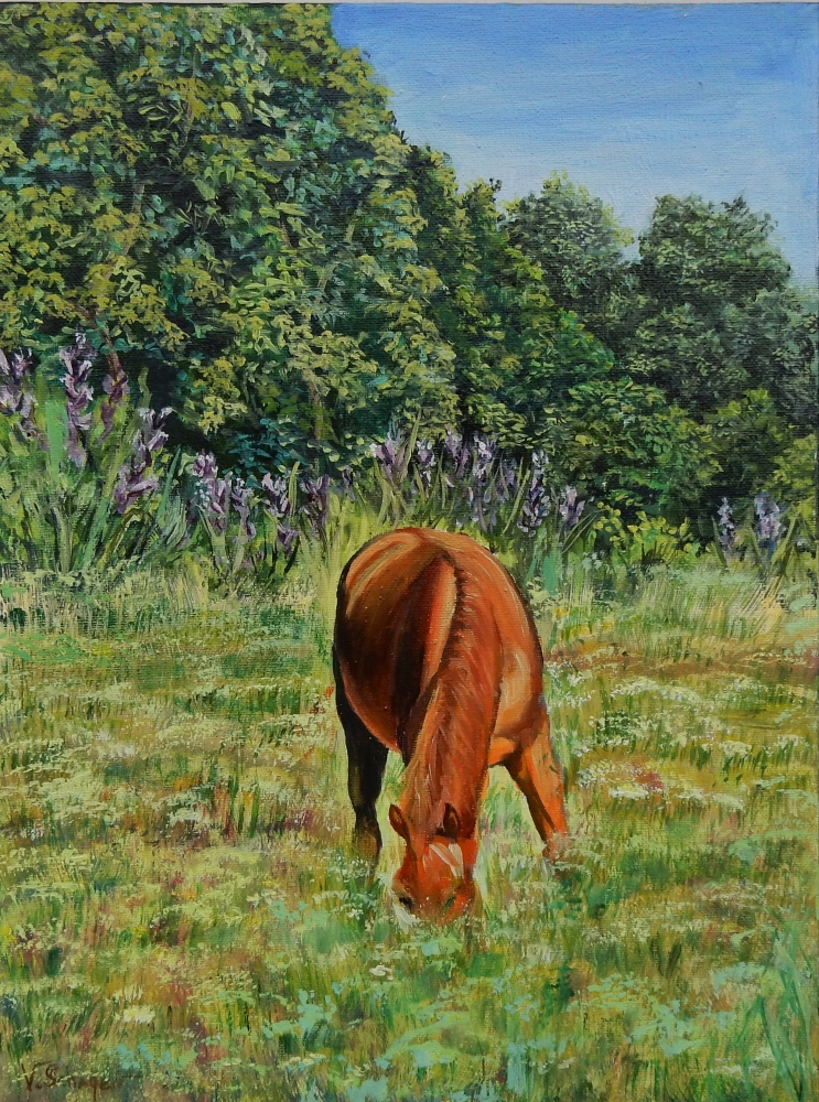 Landscape. Horse in the field.