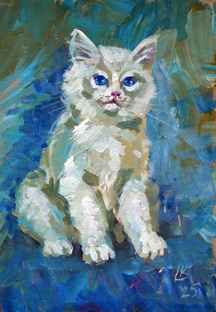 White Kitten on a Blue Background