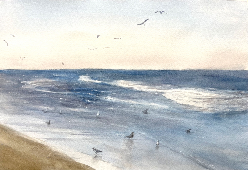 Seagulls by the Shore