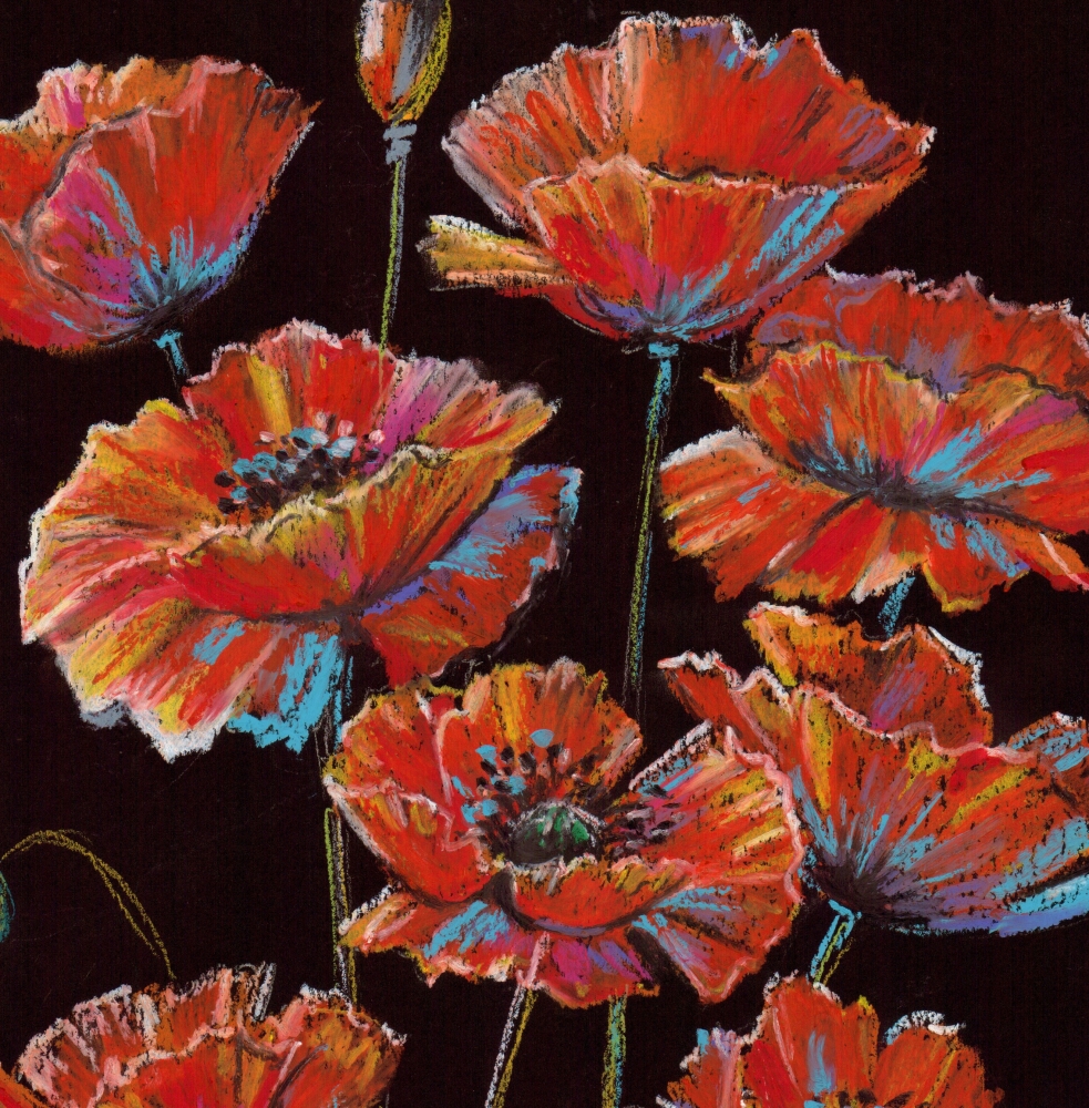 Vibrant Poppies