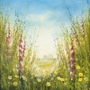 Cottage Garden Buttercups & Foxgloves