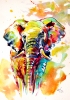 Colorful elephant