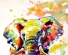 Colorful elephant