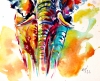 Colorful elephant