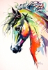 Colorful horse