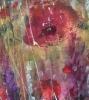 Poppy Garden Dream