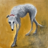  Greyhound on ochre framed