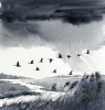 Monochrome ducks rainclouds, marshlands framed