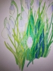 Snowdrops in watercolour 