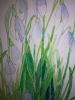 Snowdrops in watercolour 